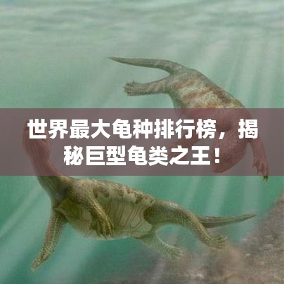 世界最大龟种排行榜，揭秘巨型龟类之王！