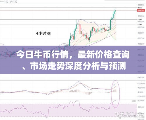 今日牛币行情，最新价格查询、市场走势深度分析与预测