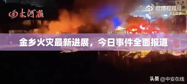 金乡火灾最新进展，今日事件全面报道