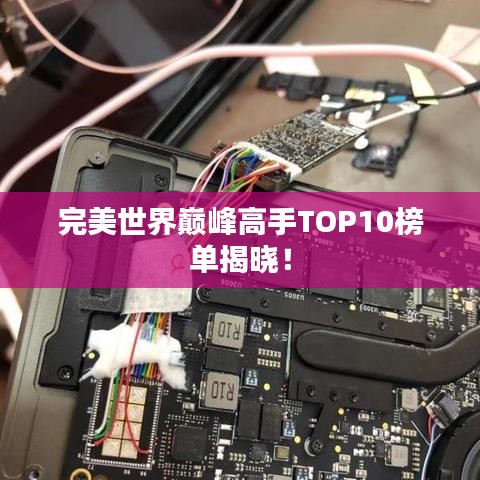 完美世界巅峰高手TOP10榜单揭晓！