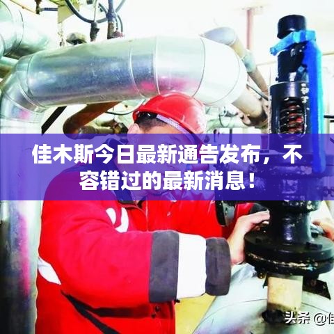 佳木斯今日最新通告发布，不容错过的最新消息！