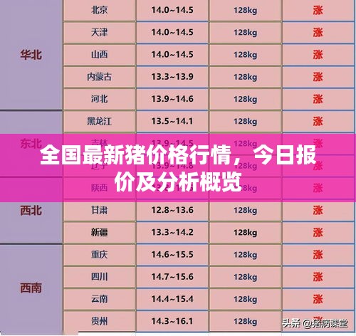 全国最新猪价格行情，今日报价及分析概览