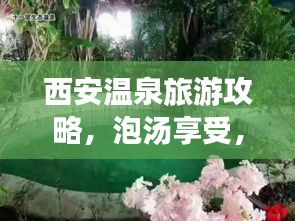 西安温泉旅游攻略，泡汤享受，温暖之旅