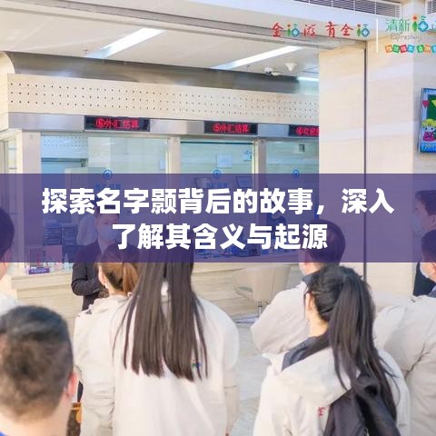 探索名字颢背后的故事，深入了解其含义与起源