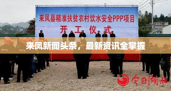 来凤新闻头条，最新资讯全掌握