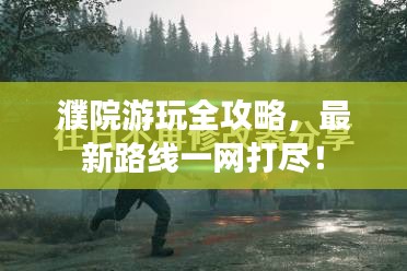 濮院游玩全攻略，最新路线一网打尽！