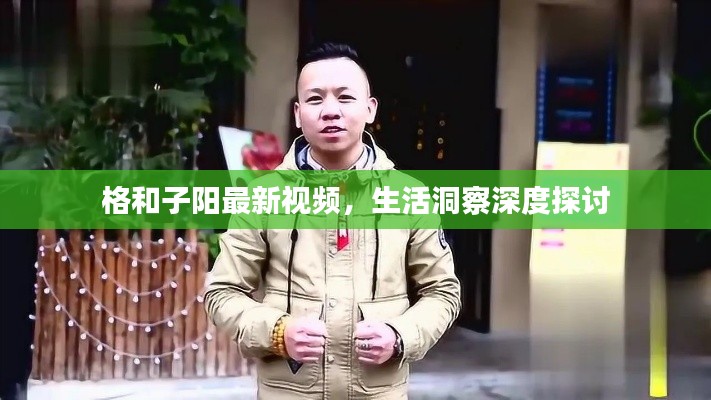 格和子阳最新视频，生活洞察深度探讨
