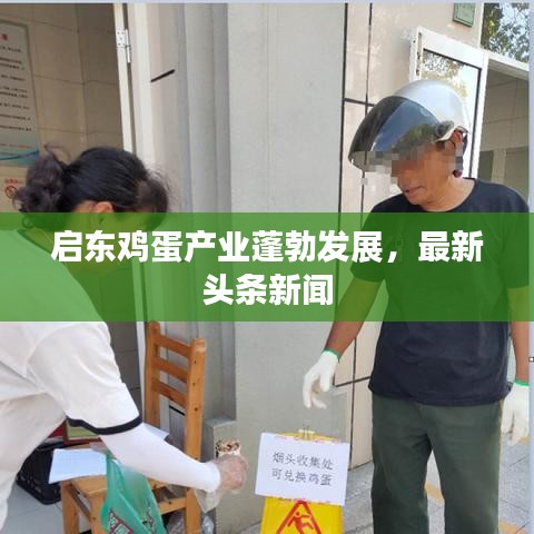 启东鸡蛋产业蓬勃发展，最新头条新闻