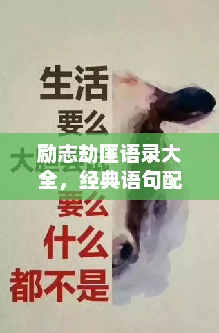 励志劫匪语录大全，经典语句配图欣赏