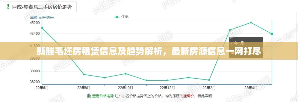 新塍毛坯房租赁信息及趋势解析，最新房源信息一网打尽