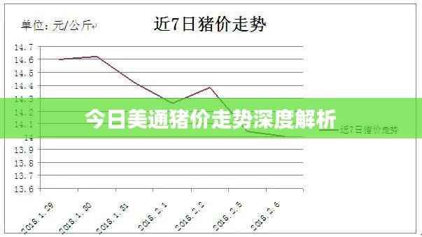 今日美通猪价走势深度解析