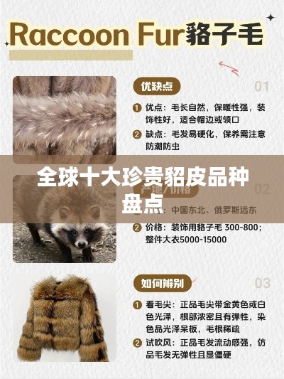 全球十大珍贵貂皮品种盘点