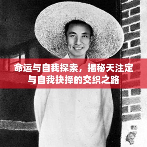 命运与自我探索，揭秘天注定与自我抉择的交织之路