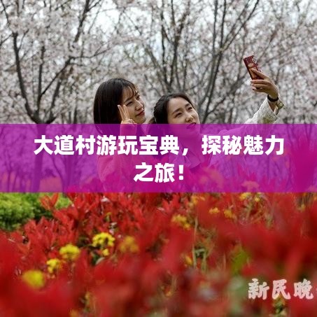 大道村游玩宝典，探秘魅力之旅！