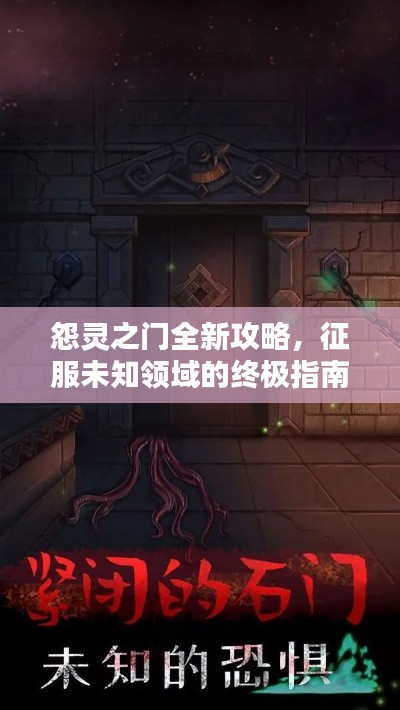 怨灵之门全新攻略，征服未知领域的终极指南秘籍
