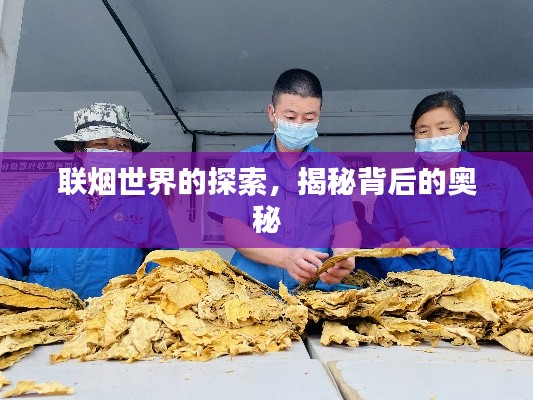 联烟世界的探索，揭秘背后的奥秘