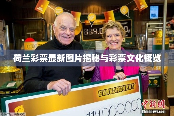 荷兰彩票最新图片揭秘与彩票文化概览