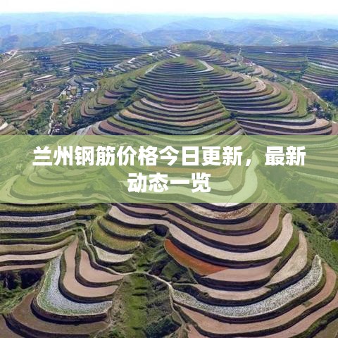 兰州钢筋价格今日更新，最新动态一览