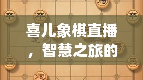 喜儿象棋直播，智慧之旅的极致体验，最新视频大全呈现！