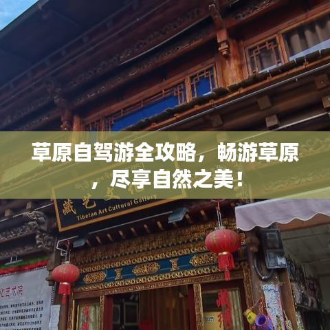 草原自驾游全攻略，畅游草原，尽享自然之美！