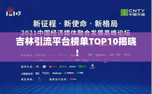 吉林引流平台榜单TOP10揭晓！