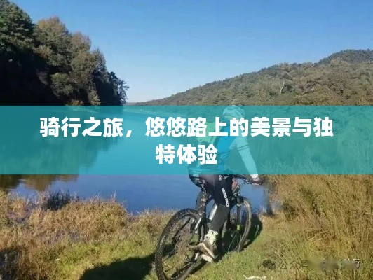 骑行之旅，悠悠路上的美景与独特体验