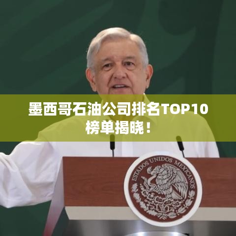 墨西哥石油公司排名TOP10榜单揭晓！