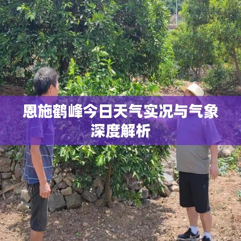 恩施鹤峰今日天气实况与气象深度解析
