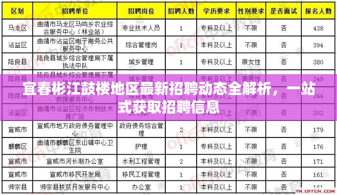 宜春彬江鼓楼地区最新招聘动态全解析，一站式获取招聘信息