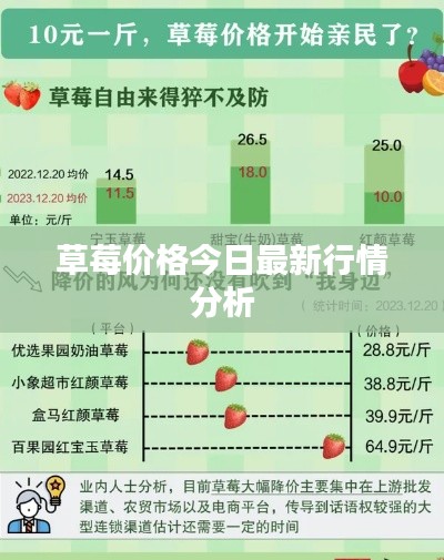 草莓价格今日最新行情分析