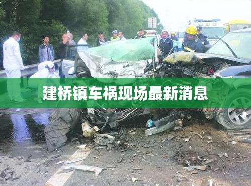 建桥镇车祸现场最新消息