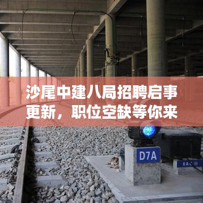 沙尾中建八局招聘启事更新，职位空缺等你来挑战！