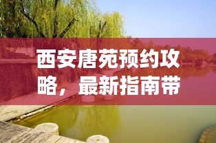西安唐苑预约攻略，最新指南带你畅游唐苑胜地