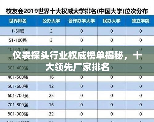 仪表探头行业权威榜单揭秘，十大领先厂家排名