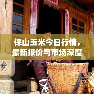 保山玉米今日行情，最新报价与市场深度解析
