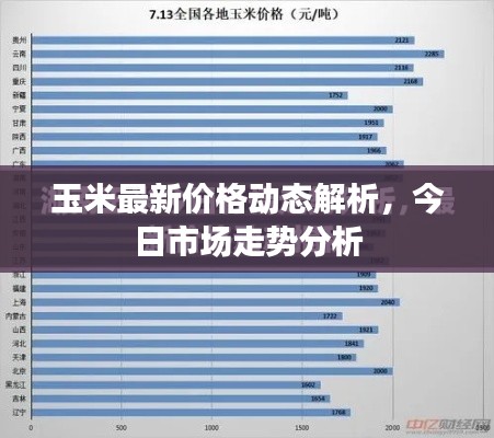 玉米最新价格动态解析，今日市场走势分析