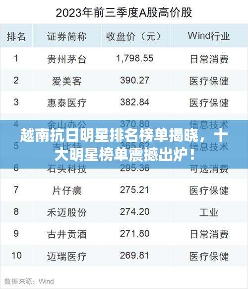 越南抗日明星排名榜单揭晓，十大明星榜单震撼出炉！