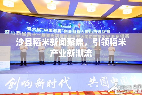 沙县稻米新闻聚焦，引领稻米产业新潮流