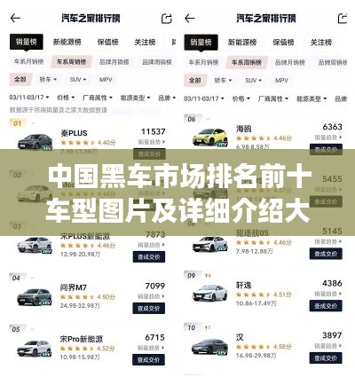 中国黑车市场排名前十车型图片及详细介绍大盘点