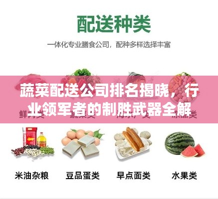 蔬菜配送公司排名揭晓，行业领军者的制胜武器全解析