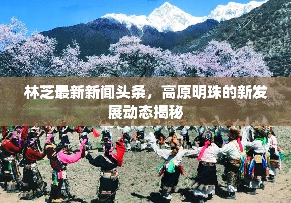 林芝最新新闻头条，高原明珠的新发展动态揭秘