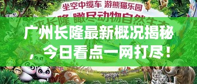 广州长隆最新概况揭秘，今日看点一网打尽！