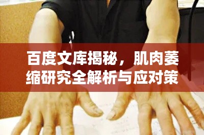百度文库揭秘，肌肉萎缩研究全解析与应对策略