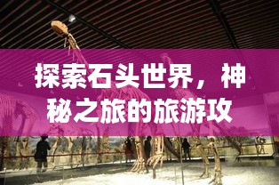 探索石头世界，神秘之旅的旅游攻略分享