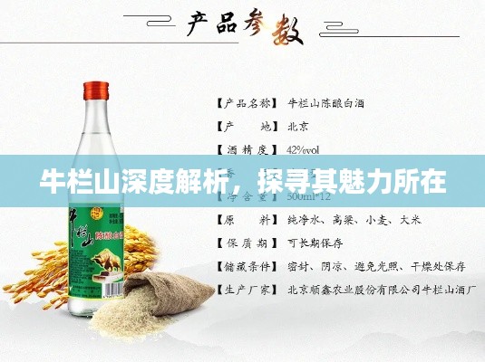 牛栏山深度解析，探寻其魅力所在