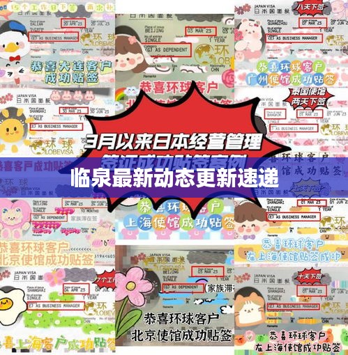 临泉最新动态更新速递