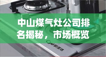 中山煤气灶公司排名揭秘，市场概览与热门品牌推荐
