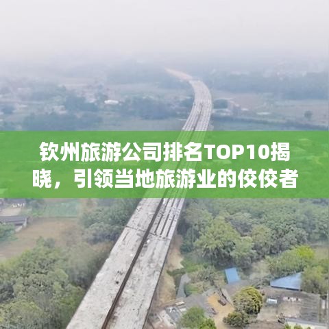 钦州旅游公司排名TOP10揭晓，引领当地旅游业的佼佼者