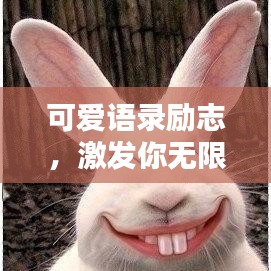 可爱语录励志，激发你无限正能量的温暖话语！