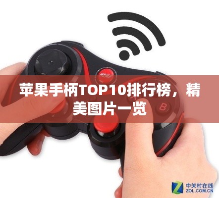 苹果手柄TOP10排行榜，精美图片一览